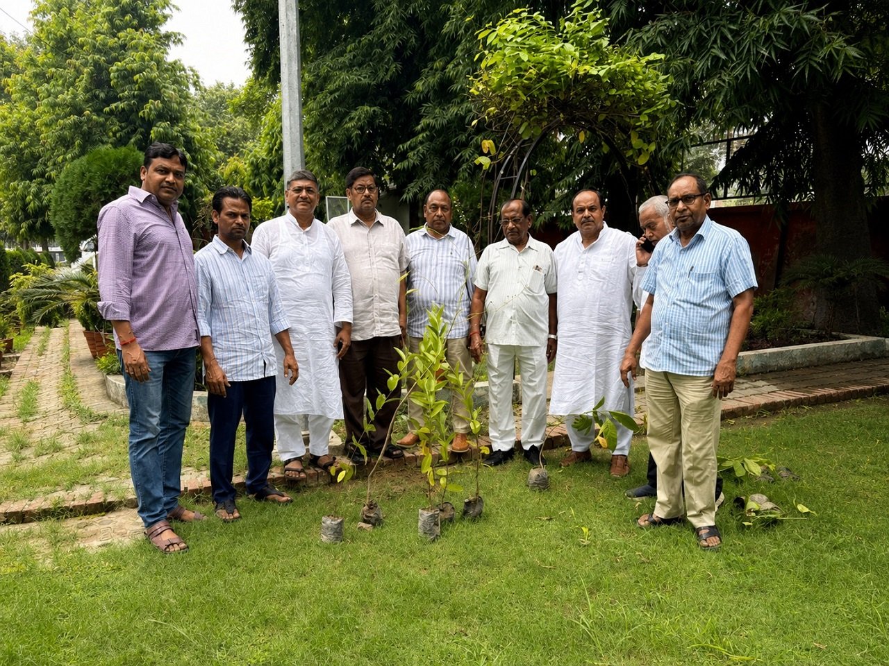 Tree Plantation